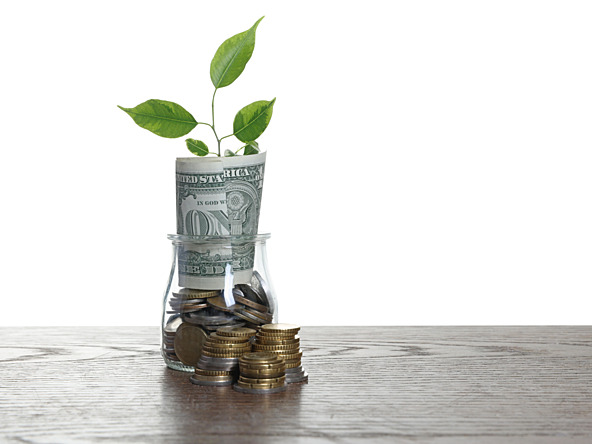 Pot of money and plant